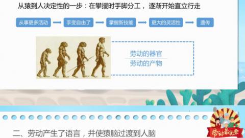 劳动促进人类自身的生物进化